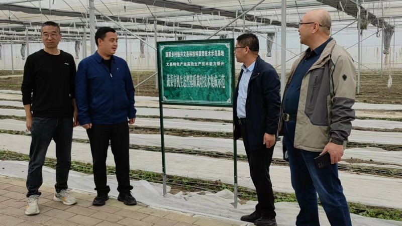 国家特色蔬菜产业技术体系科技特派团到文县开展科技服务