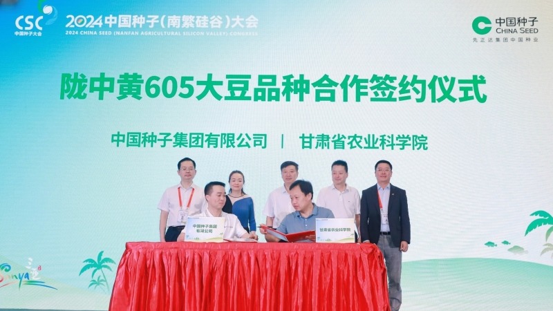 甘肃省农业科-🔥beat365在线与中国种子集团成功签署高油高产大豆新品种“陇中黄605”转让协议